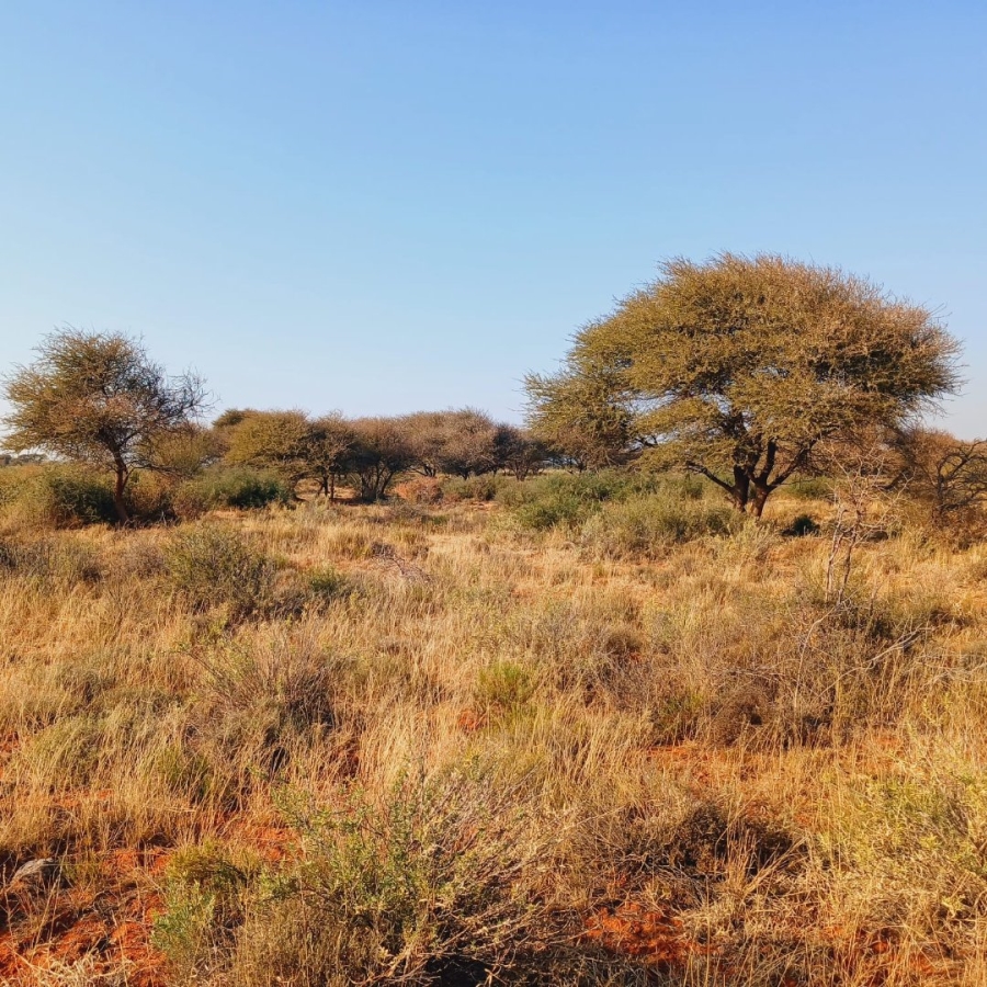  Bedroom Property for Sale in Jacobsdal Rural Free State